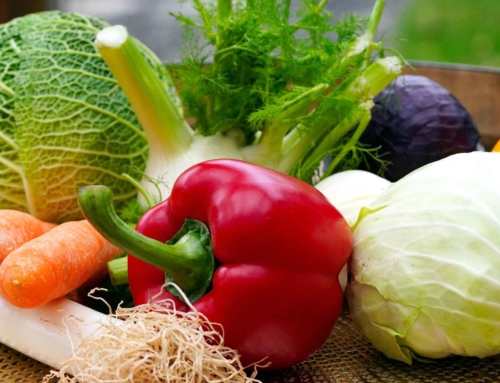 Seniorentreff am 21.05.2025 Wie ernähren sich Senioren richtig?